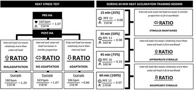 The Internal-to-External Load Ratio: A Tool to Determine the Efficacy of Heat Acclimation/Acclimatization Using Self-Paced Exercise